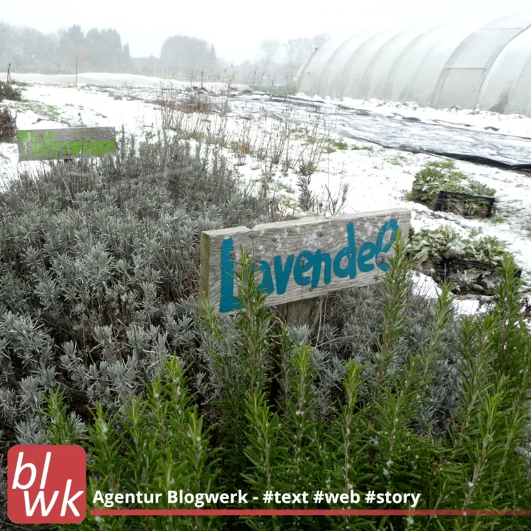 SoLaWi Bork im Winter